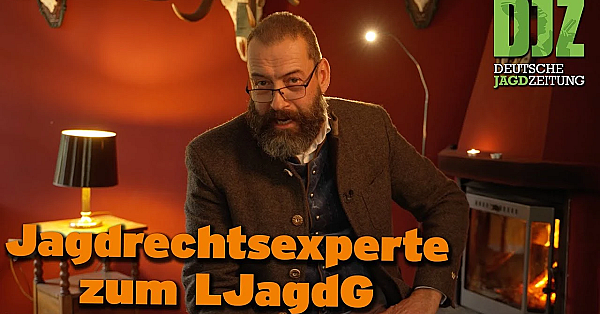 Fast Folgenlose Fehlabschüsse! - Jagdrechtskanzlei Dr. Granzin Zum Ljg Rheinland-pfalz