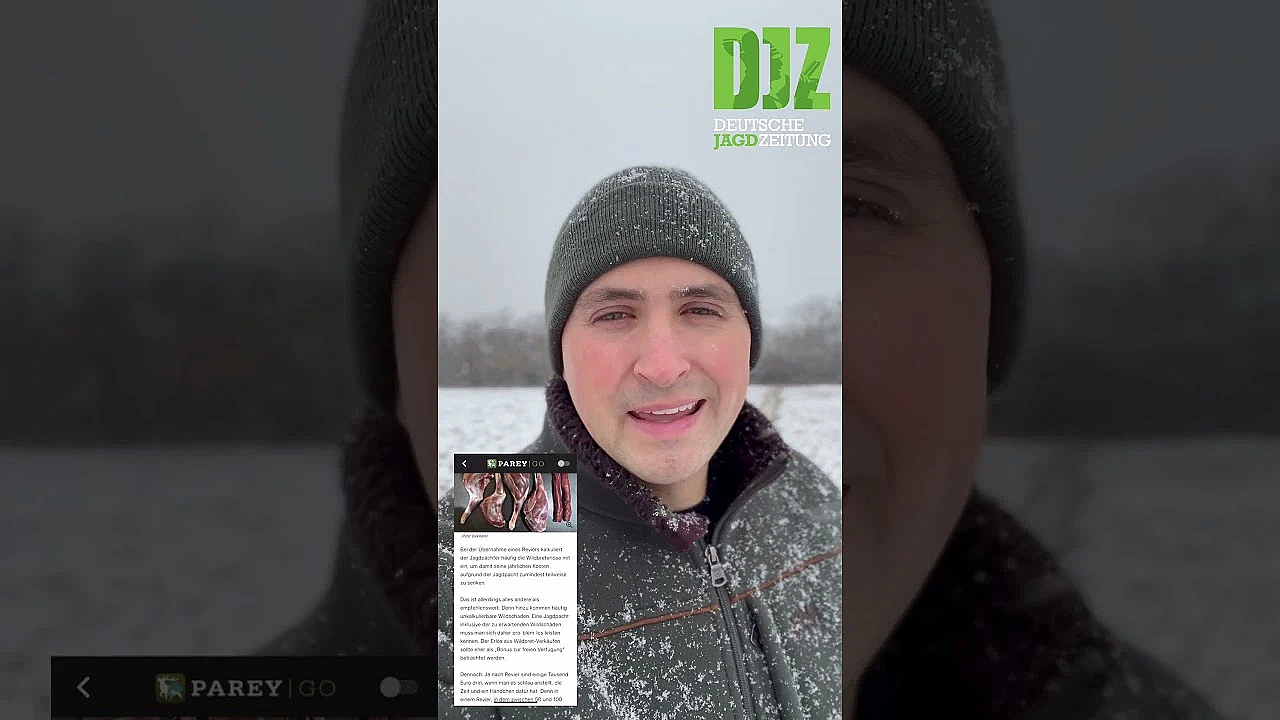 Djz Onlinemagazin Auf Pareygo: Jetzt Einen Monat Kostenlos Testen!