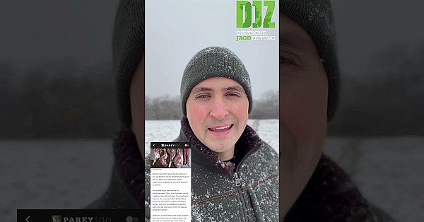 Djz Onlinemagazin Auf Pareygo: Jetzt Einen Monat Kostenlos Testen!