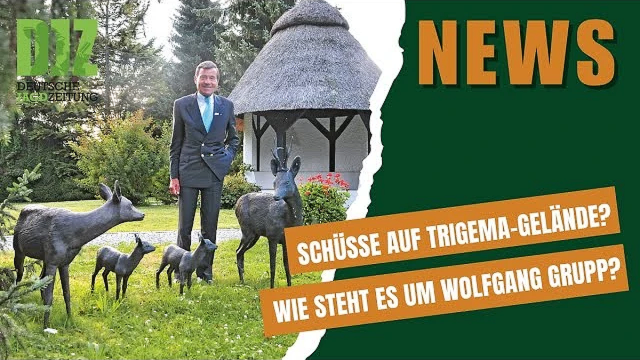 Djz News -  09.07.25