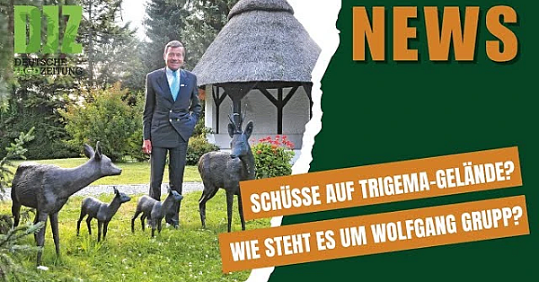 Djz News -  09.07.25