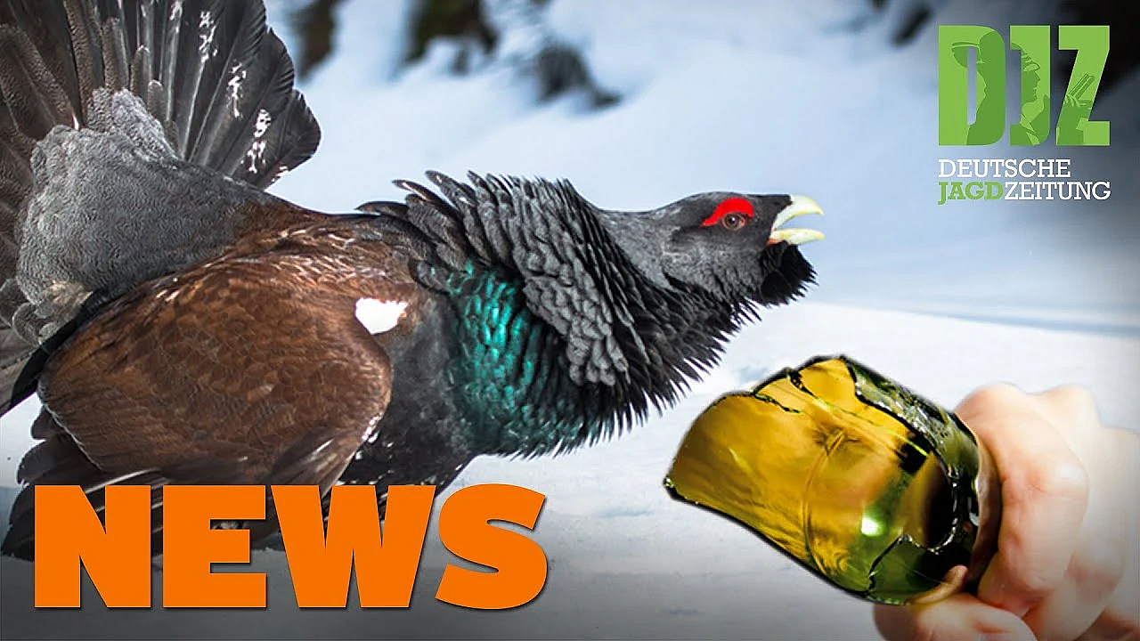 Schlimmer Verdacht, Neues Bundesjagdgesetz, Fellwechsel, Auerhahn-prozess U.w. - Djz-news 31/2020