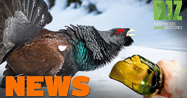 Schlimmer Verdacht, Neues Bundesjagdgesetz, Fellwechsel, Auerhahn-prozess U.w. - Djz-news 31/2020