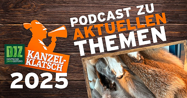 Djz-kanzelklatsch - Rund Um Fuchsbälge