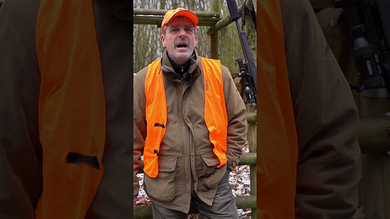 Djz Quicky: Drückjagd-tipps Teil 2