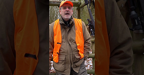 Djz Quicky: Drückjagd-tipps Teil 2