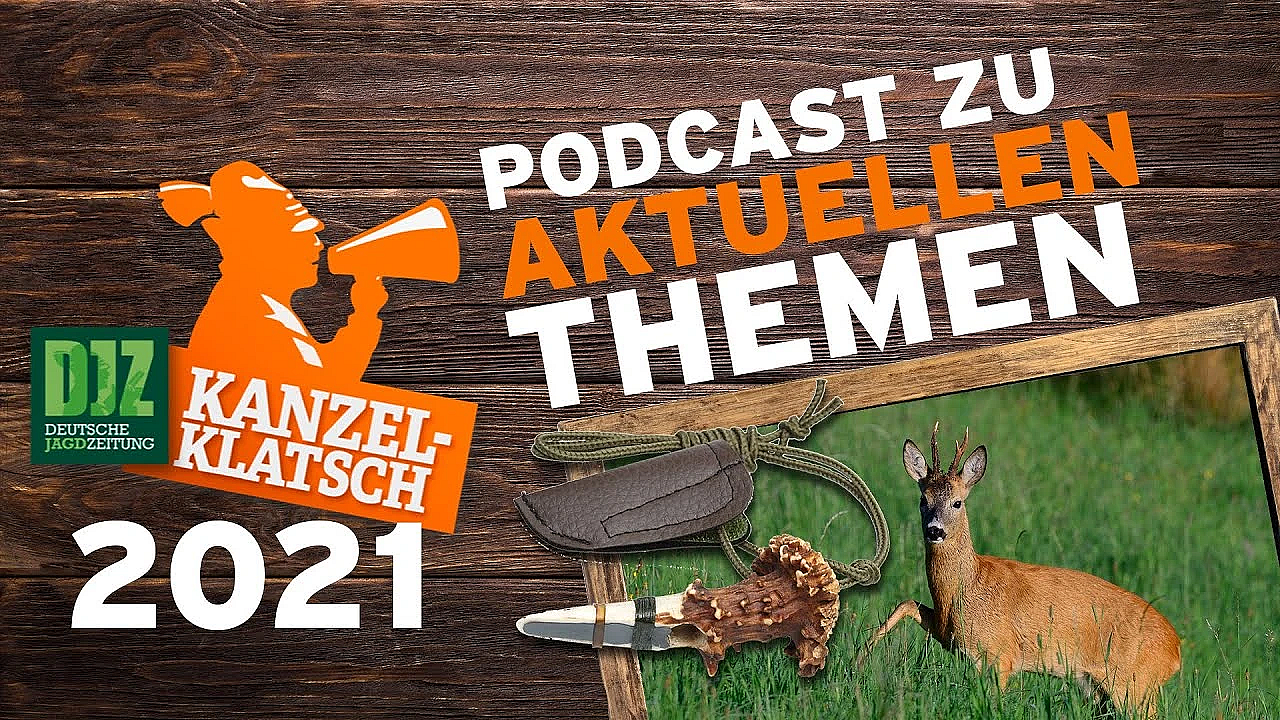 Djz-kanzelklatsch - Blattjagd Mit Der Djz-redaktion