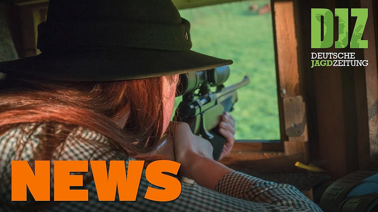 Drückjagden Verboten In Nrw, Jäger-casting, Gesetzänderung, Unfall Im Wienberg - Djz-news 52/2020