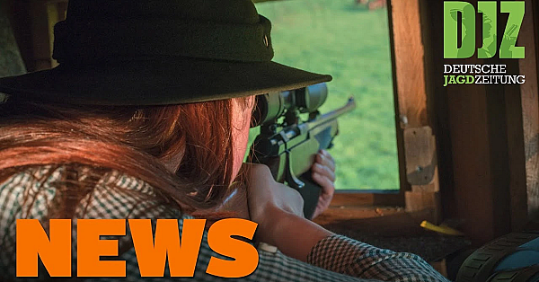 Drückjagden Verboten In Nrw, Jäger-casting, Gesetzänderung, Unfall Im Wienberg - Djz-news 52/2020