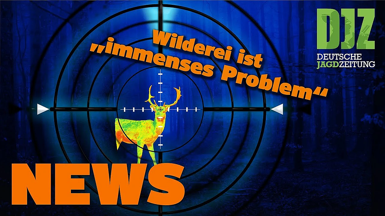 Polizistenmord Vor Gericht, Harte Bandagen Gegen Asp U.w. - Djz News Vom 22. Juni 2022