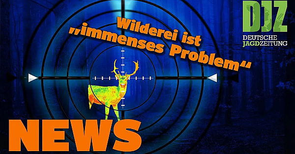 Polizistenmord Vor Gericht, Harte Bandagen Gegen Asp U.w. - Djz News Vom 22. Juni 2022