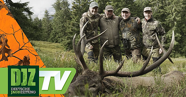 Der König Der Karpaten - Djz Tv