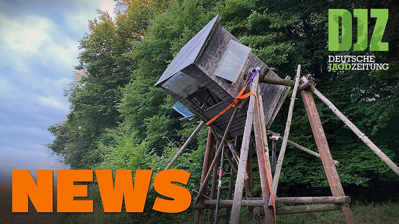 Fahrbahnkirrung, Jäger Von Hochsitz Gerettet, Asp U.w. - Djz-news 31/2021