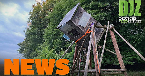 Fahrbahnkirrung, Jäger Von Hochsitz Gerettet, Asp U.w. - Djz-news 31/2021