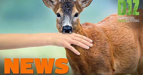 Reh Beißt Kind, Jagd Ist Wichtig, Keine Hundeprüfungen U.w. - Djz-news 16/2020