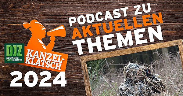 Djz-kanzelklatsch - Tarnung