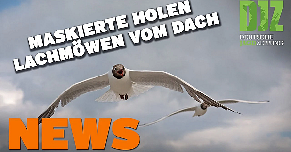 Ärger Um Jagdscheinverlängerung, Pürzelprämie, Maskierte Holen Brüter U.w. - Djz News 14/2022