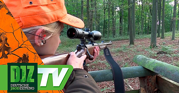 Djz-drückjagd 2016 - Pareygo Classics