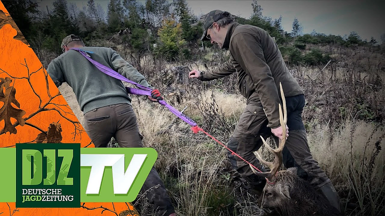 Sika-wochenende - Pareygo Classics