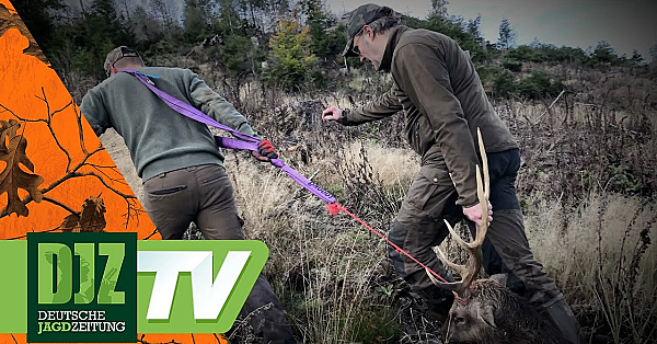 Sika-wochenende - Pareygo Classics