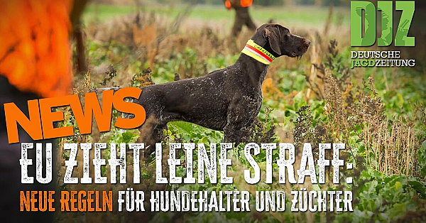 DJZ News – 13. Mai 2026 🦌