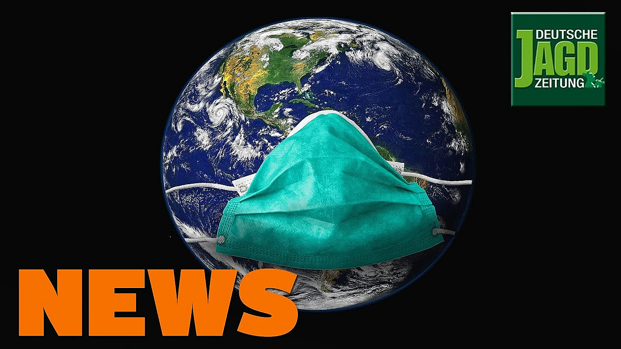 Zoff In Sachsen, Waffendepot Im Wald, Finale Im Luchsprozess U.w. - Djz-news 11/2020