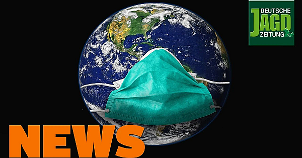 Zoff In Sachsen, Waffendepot Im Wald, Finale Im Luchsprozess U.w. - Djz-news 11/2020