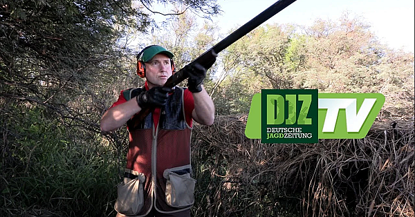 Taubenjagd In Argentinien