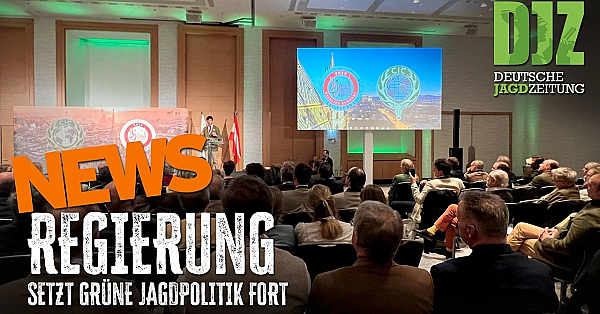 CIC-Aus, Feldverwüstung und eine reisefreudige Jagdhündin | DJZ News