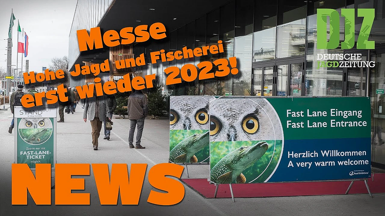 188.000 Euro Für Kühlkapazitäten, Gemeinde Greift Durch, Jäger Verunglückt U.w. - Djz News 50/2021