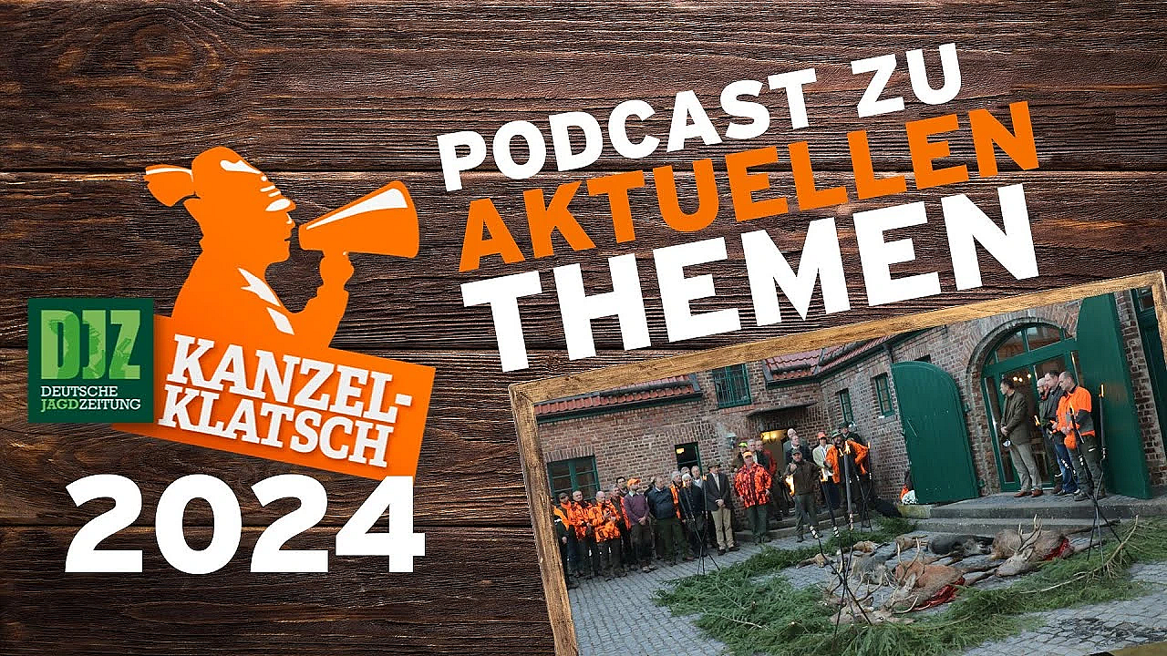 Djz-kanzelklatsch - Drückjagdfreigaben Teil 1