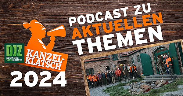 Djz-kanzelklatsch - Drückjagdfreigaben Teil 1