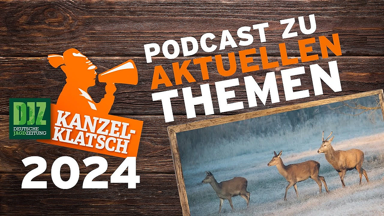 Djz-kanzelklatsch - Drückjagdfreigabe Teil 2