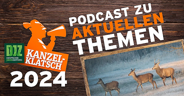 Djz-kanzelklatsch - Drückjagdfreigabe Teil 2