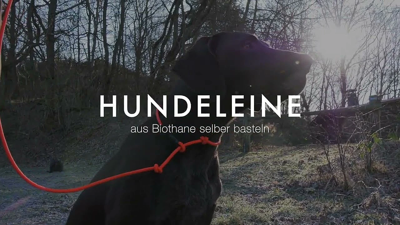 Einfach Und Schnell: Hundeleine Aus Biothane Selber Bauen