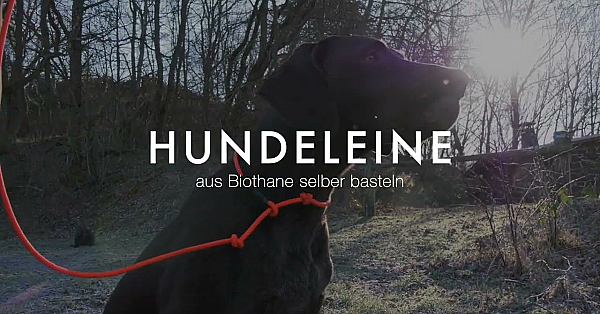 Einfach Und Schnell: Hundeleine Aus Biothane Selber Bauen