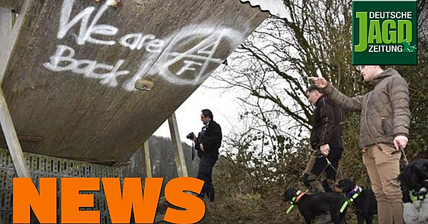 36.000 Hirschfreunde, Rehwildjagd Im April, Wolfsmeldung Der Woche U.w. - Djz-news 6/2020