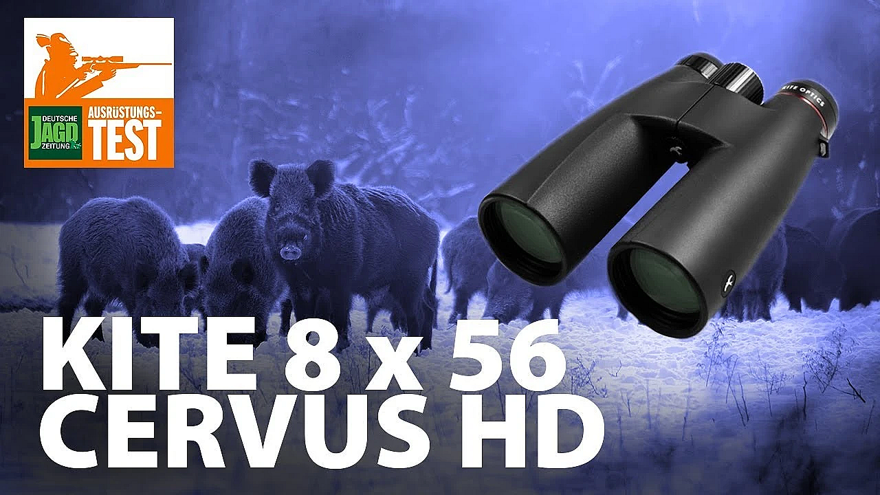 Djz-test: Kite Cervus Hd