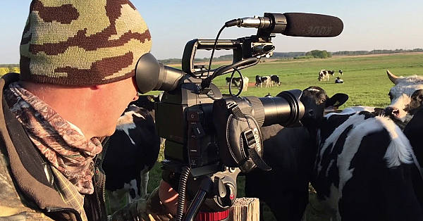 500-gramm Böcke Vor Der Tür