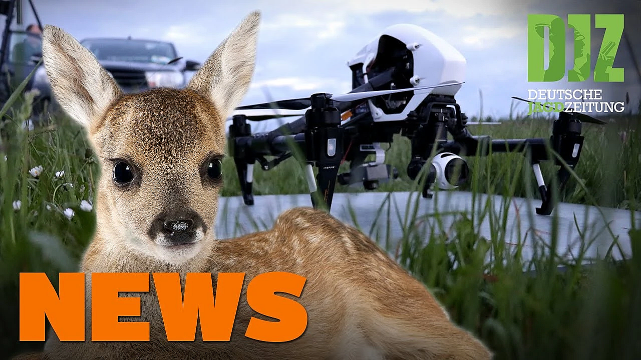 Drohnen Zur Rehkitzrettung, Randalewutzen, Weniger Muffel, Mehr Wildbret U.w. - Djz-news 12/2021