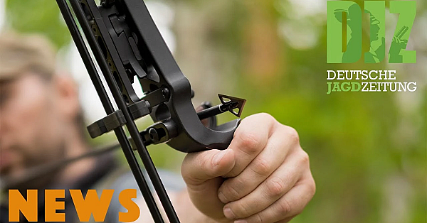 Saujagd Mit Bogen, Jagdunfall, Wolf überfahren U.w. - Djz News 24/2022