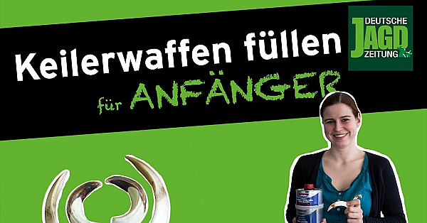 Keilerwaffen Füllen Für Anfänger