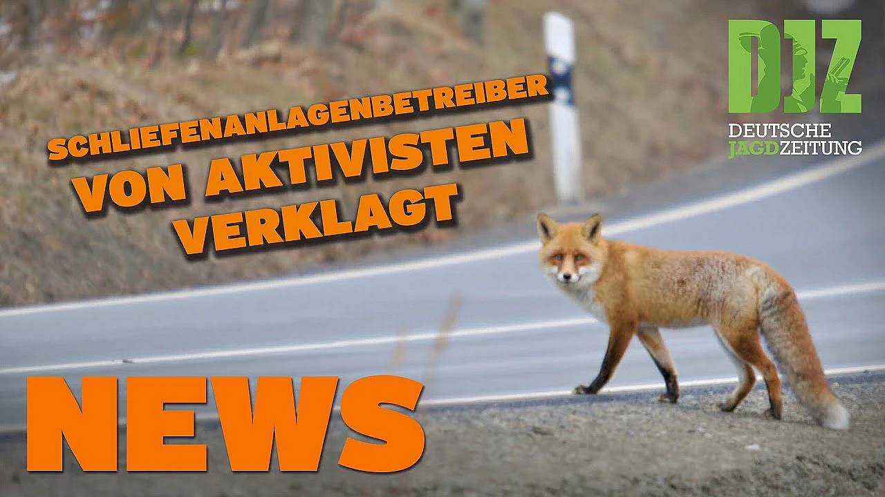 Aktivisten Gegen Hundeausbildung, Mehr Brücken Für Rotwild U.w. - Djz News Vom 25.5.22