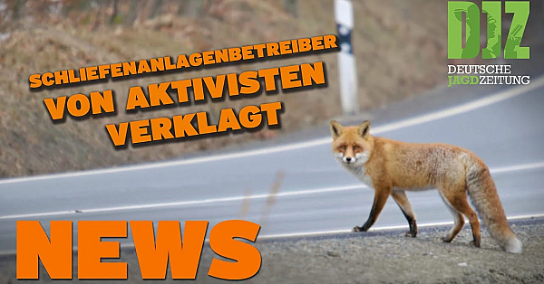Aktivisten Gegen Hundeausbildung, Mehr Brücken Für Rotwild U.w. - Djz News Vom 25.5.22