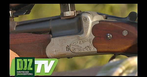 Der Lollo-rosso-bock