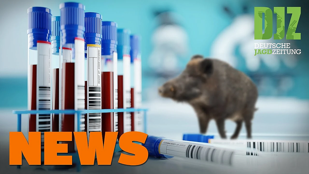 Iwa 2021 Abgesagt, Unbekannter Toter, Asp-prämie Angehoben U.w. - Djz-news 48/2020