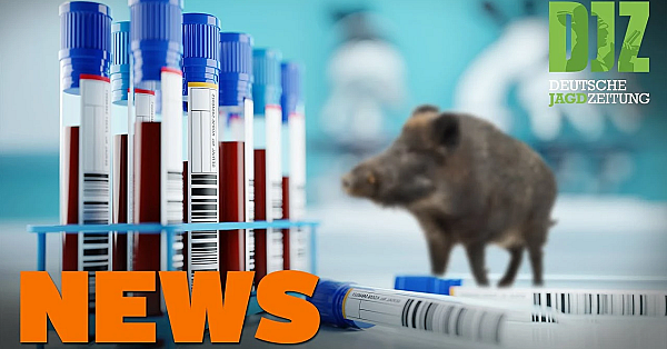 Iwa 2021 Abgesagt, Unbekannter Toter, Asp-prämie Angehoben U.w. - Djz-news 48/2020