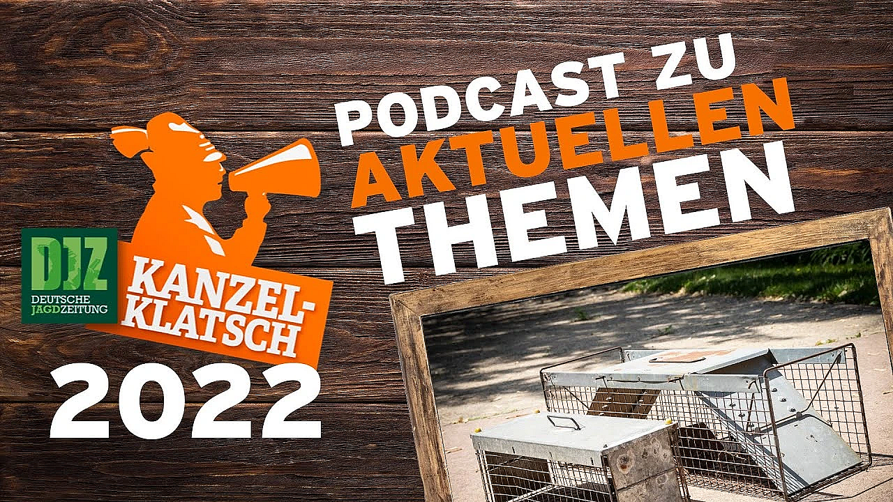 Djz-kanzelklatsch - Fallenjagd Mit Ralf Bonnekessen