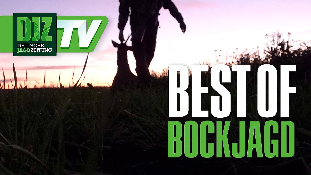 Best of Bockjagd