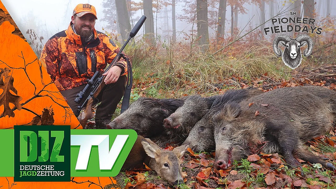 Erfolgreiche Drückjagd Bei Den Sh Pioneer Fielddays
